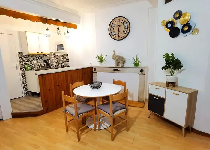 Charmant T2 Meuble Quartier Chateau De Pau